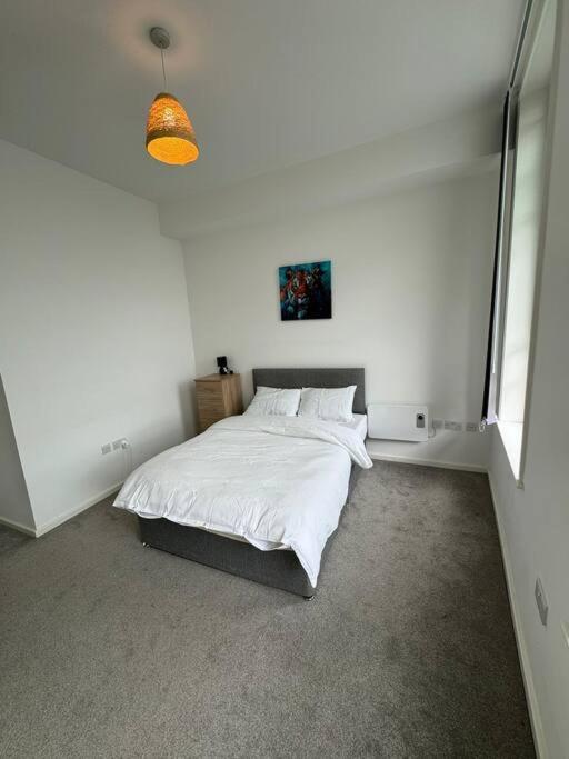 Spacious Flat In Sheffield City Center Gs304 Extérieur photo